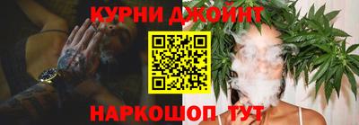 индика Пугачёв