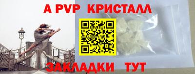 индика Пугачёв
