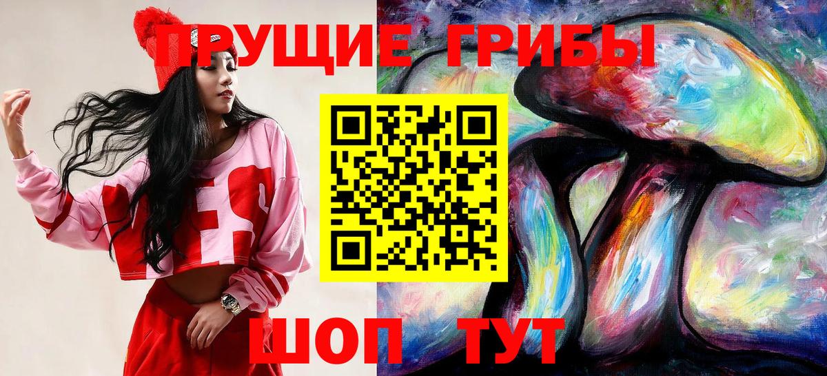 Севастополь  Псилоцибиновые грибы Cubensis  Вход с VPN 
